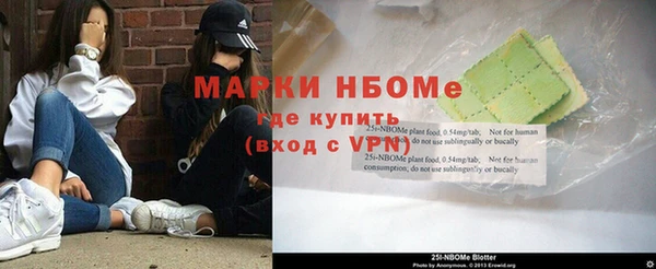 стаф Белокуриха
