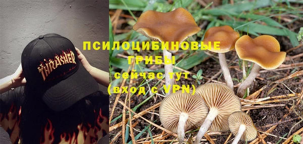 ECSTASY Белоозёрский