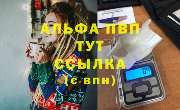 стаф Белокуриха