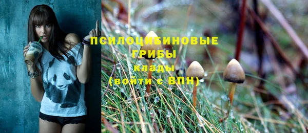 ECSTASY Белоозёрский